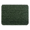 Grassworx DOOR MAT GRN ASTR 18X24"" 10372027